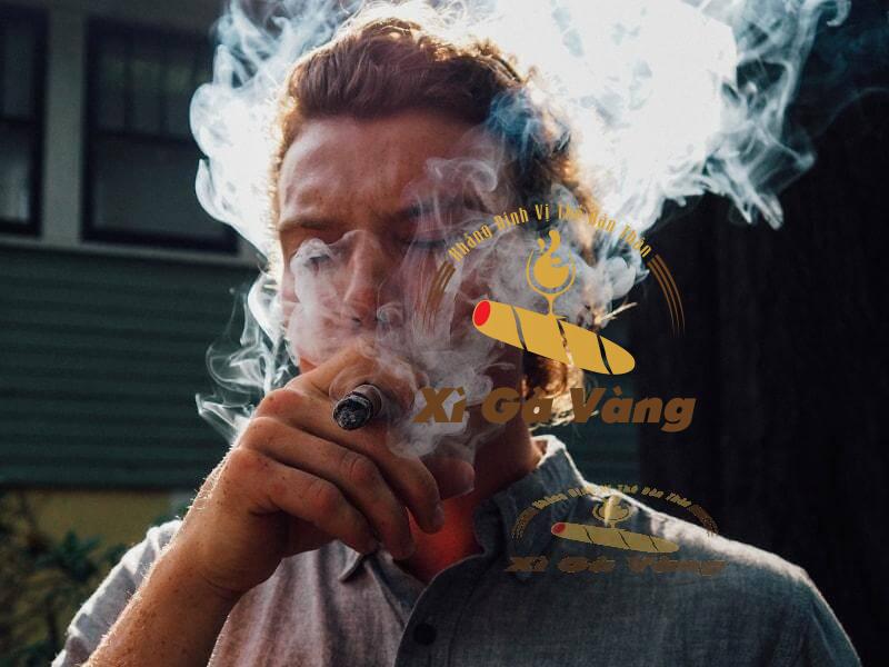 Đánh giá hương vị của xì gà Davidoff Millennium Piramides